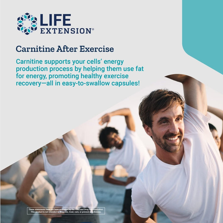 Life Extension Optimized Carnitine 60 Capsules - The Oasis of Health