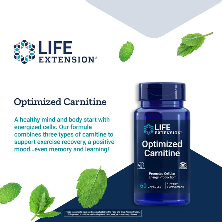 Life Extension Optimized Carnitine 60 Capsules - The Oasis of Health