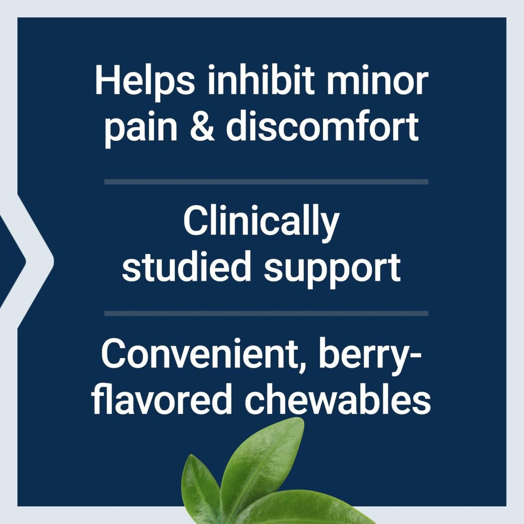 Life Extension Pea Discomfort Relief (Berry Flavor) for Occasional Minor Pain & Discomfort – Palmitoylethanolamide Supplement - Gluten - Free, Non - GMO, Vegetarian – 60 Chewable Tablets - The Oasis of Health