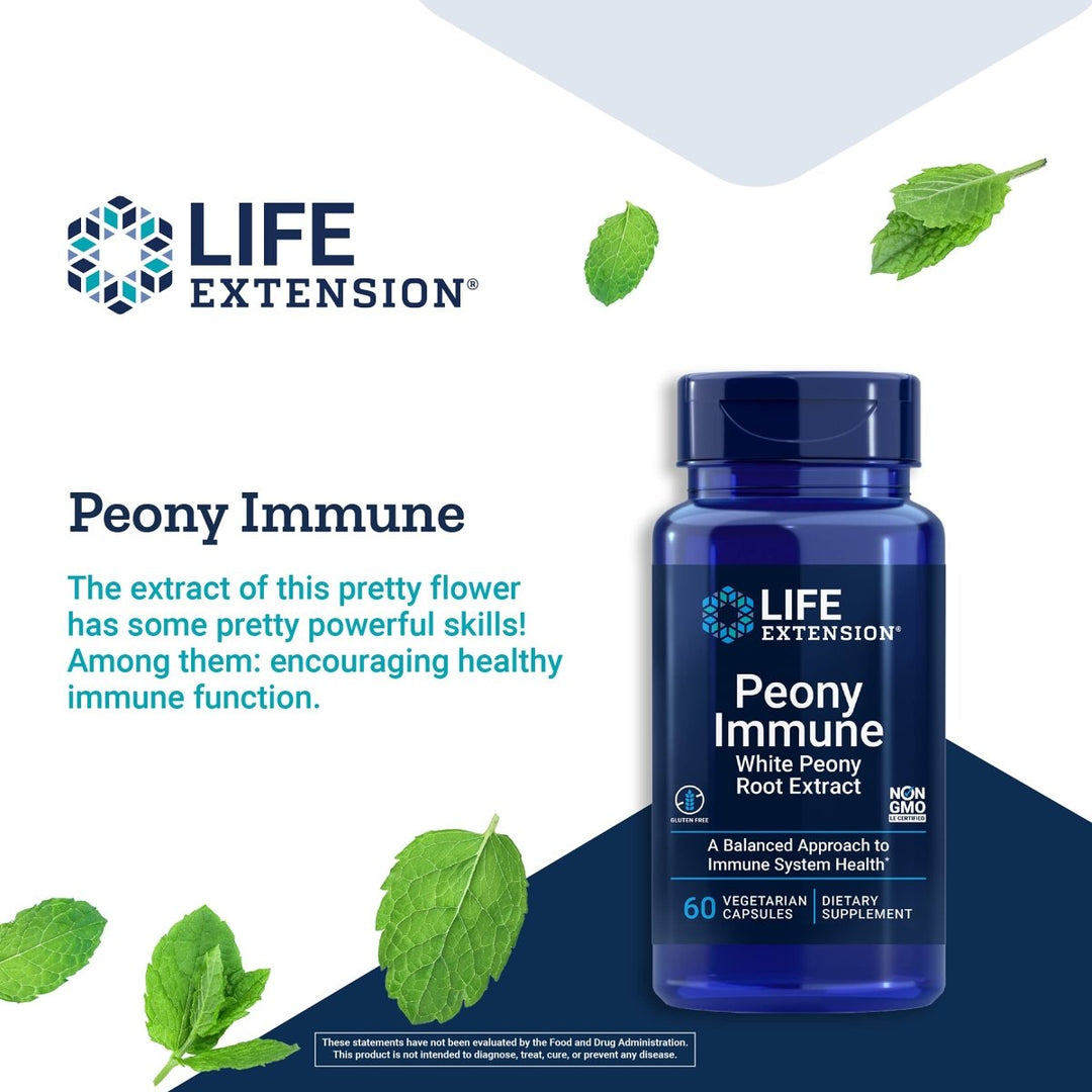Life Extension Peony Immune - White Peony Root - Extract Supplement for Healthy Immune Support and Cell Balance - Non - GMO, Gluten - Free, Vegetarian - 60 Capsules - The Oasis of Health