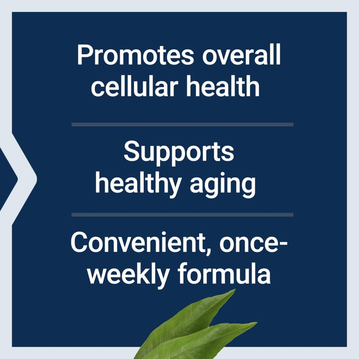 Life Extension Senolytic Activator?, healthy aging, cellular health support, bioavailable quercetin and fisetin, apigenin, black tea theaflavins, gluten free, non - GMO, vegetarian, 36 capsules - The Oasis of Health