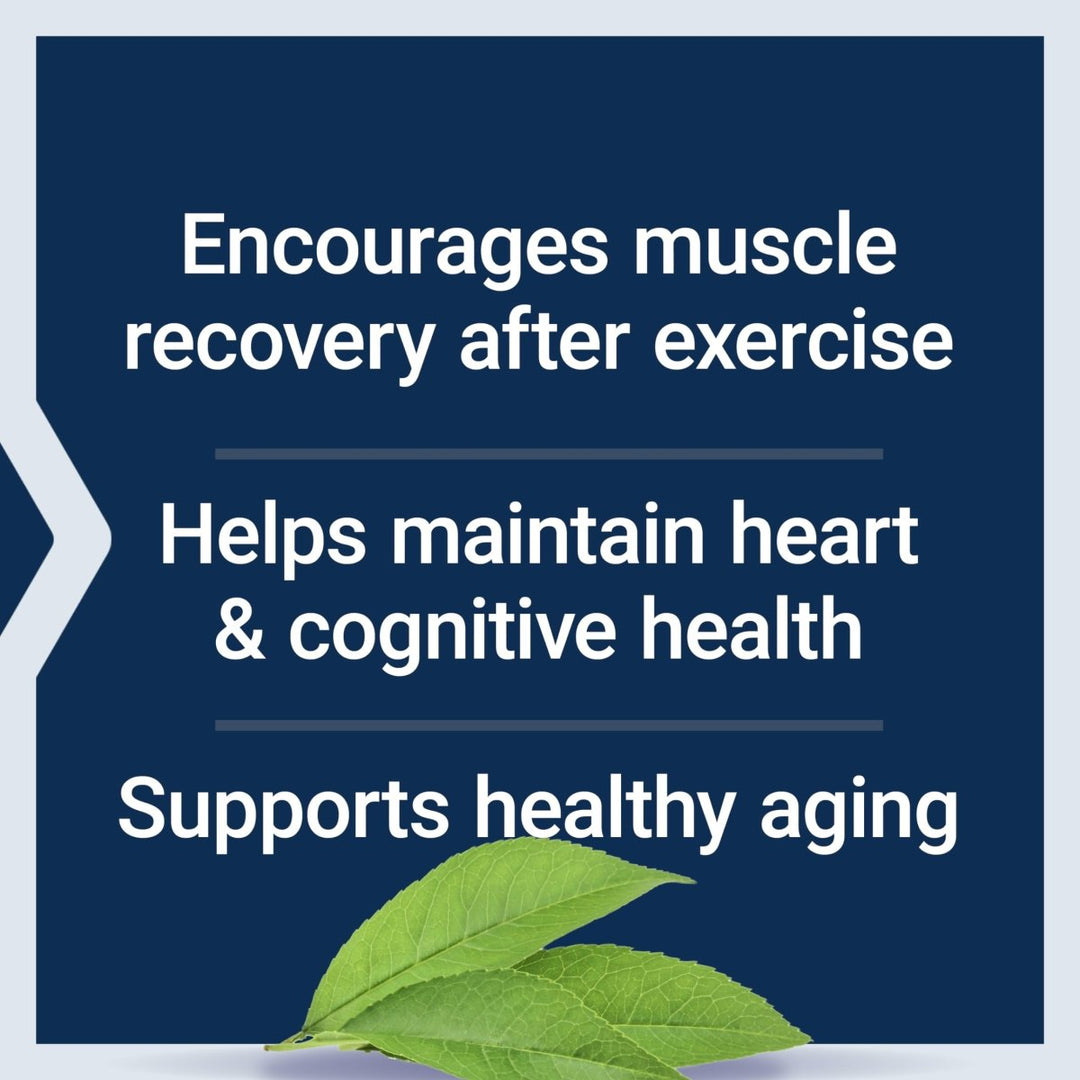 Life Extension Taurine Powder ? Healthy Cardiovascular Support, Promotes Brain Health, Healthy Aging, and Muscle and Exercise Recovery ? Gluten - Free, Non - GMO, Vegetarian ? 300 Grams - The Oasis of Health