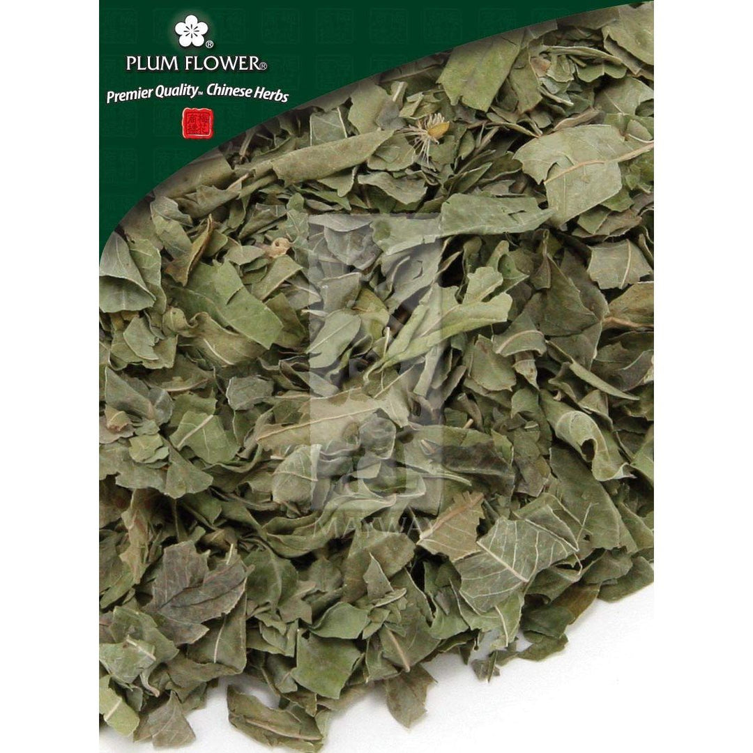Luo Bu Ma Ye, unsulfured Apocynum venetum leaf Plum Flower?500 g/bag - The Oasis of Health