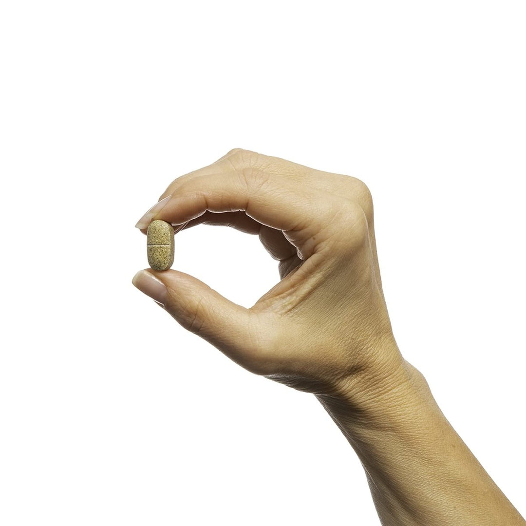 Metagenics - Fem EstroPlex 90T [Health and Beauty] - The Oasis of Health