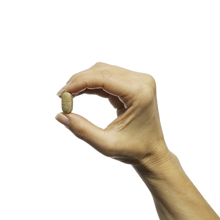 Metagenics - Fem EstroPlex 90T [Health and Beauty] - The Oasis of Health