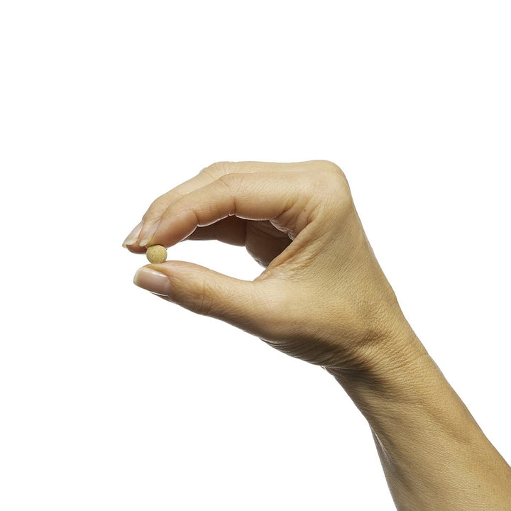 Metagenics - Silymarin 80, 90 Count - The Oasis of Health