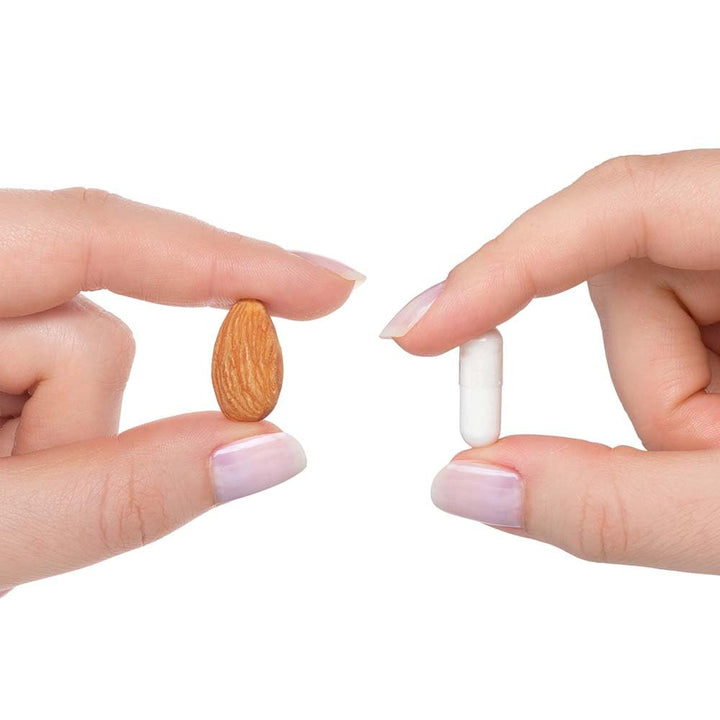 NAC | 500 mg N - Acetyl - L - Cysteine | Powerful Detoxifying Action| 90 Easy - To - Swallow Capsules | Free of Common Allergens | Seeking Health - The Oasis of Health