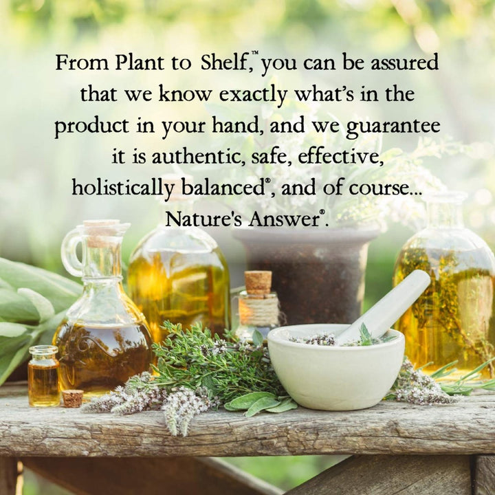 Nature's Answer Hawthorne Berry Herbal Extract Supplement with Organic Alcohol, 2 - Fluid Ounces | Promotes Healthy Blood Circulation | Immune System Booster | Improves Cardiovascular Health - The Oasis of Health