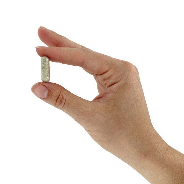 Nature's Way Alive! Max6 Potency Daily Multi No iron 15092 90 cap - The Oasis of Health