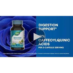 Nature's Way Artichoke 60 Vcaps - 3 Pack - The Oasis of Health