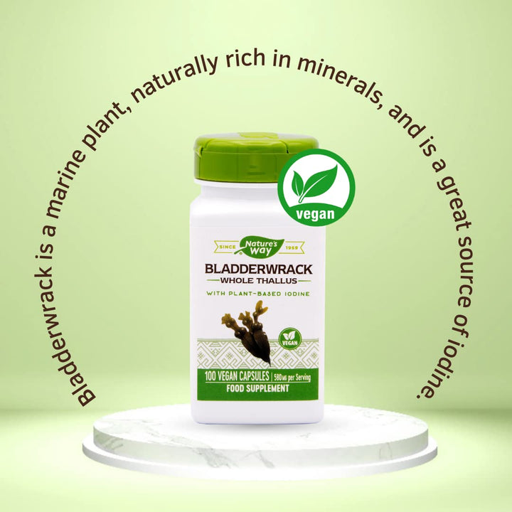 Nature's Way Bladderwrack - 100 Vegetarian Capsules - The Oasis of Health