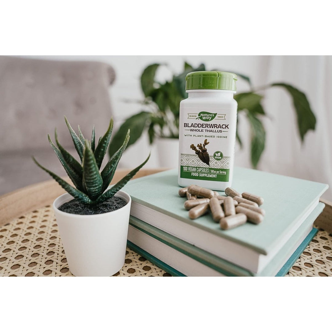 Nature's Way Bladderwrack - 100 Vegetarian Capsules - The Oasis of Health