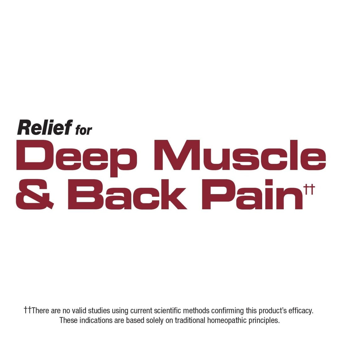 Nature's Way Boericke & Tafel Sports Gel, Relief for Deep Muscle, Joint, Tendon, & Back Pain and Inflammation, Homeopathic, 2.5 oz - The Oasis of Health