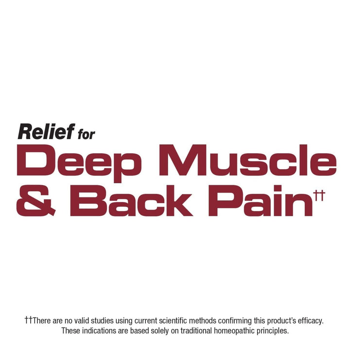 Nature's Way Boericke & Tafel Sports Gel, Relief for Deep Muscle, Joint, Tendon, & Back Pain and Inflammation, Homeopathic, 2.5 oz - The Oasis of Health