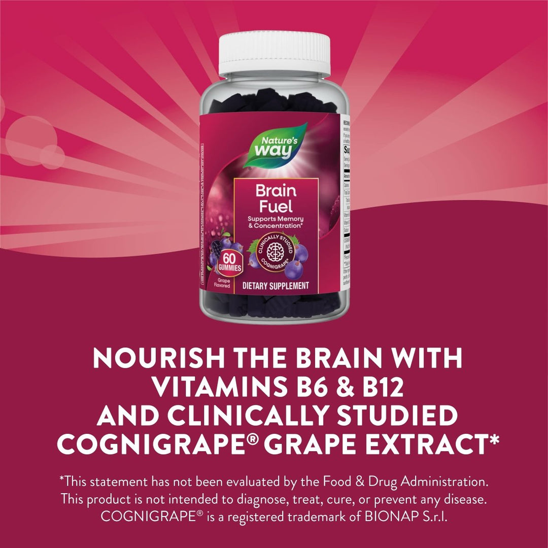 Nature's Way Brain Fuel, Supports Memory and Concentration*, Clinically Studied Cognigrape?, 60 Gummies, Grape Flavored - The Oasis of Health