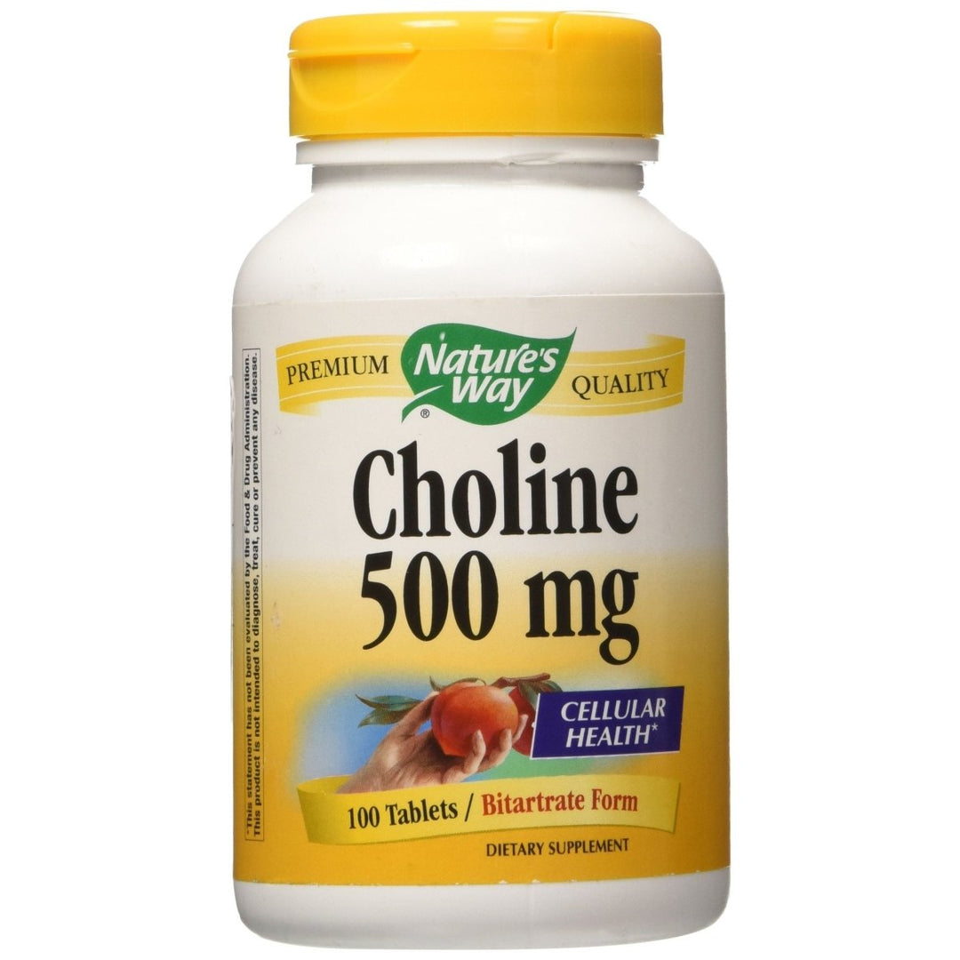 NATURE'S WAY Choline 500mg 100 Tablets - The Oasis of Health