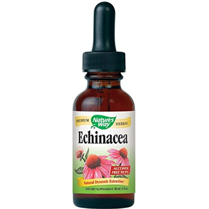 Nature's Way Echinacea - 1 fl oz - The Oasis of Health