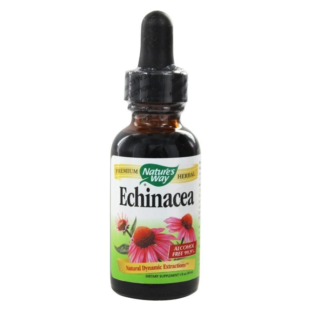 Nature's Way Echinacea - 1 fl oz - The Oasis of Health