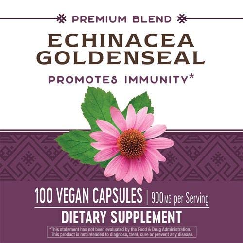 NATURE'S WAY Echinacea/Goldenseal, 0.02 Pounds - The Oasis of Health