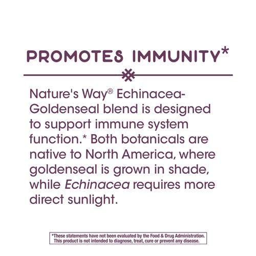 NATURE'S WAY Echinacea/Goldenseal, 0.02 Pounds - The Oasis of Health