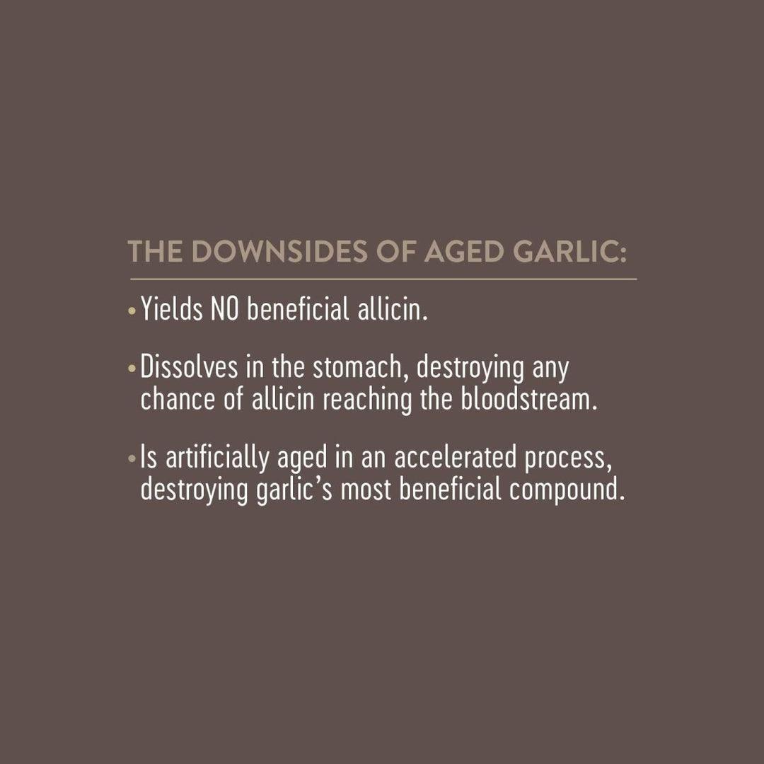 Nature's Way Garlinase Enteric Coated Tablets, 100 Count (Formerly Enzymatic Therapy) (Packaging May Vary) - The Oasis of Health