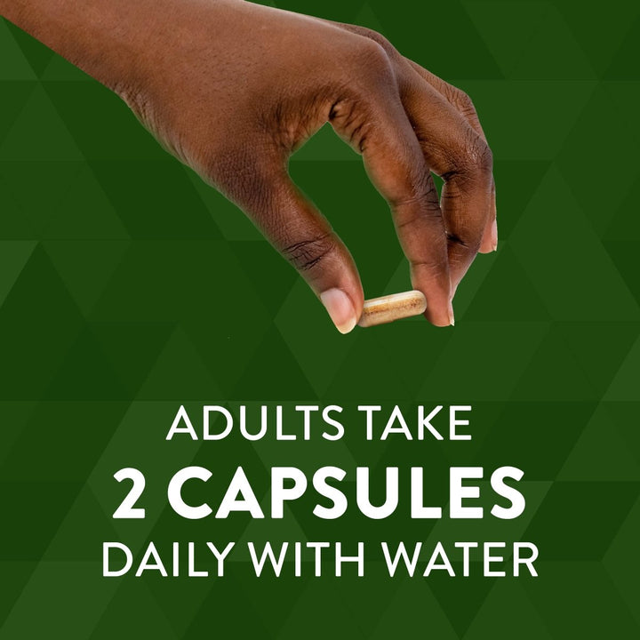 Nature's Way Ginger Root, Traditional Digestive Support*, 1110 mg Per Serving, Non - GMO Project Verified, 240 Capsules - The Oasis of Health