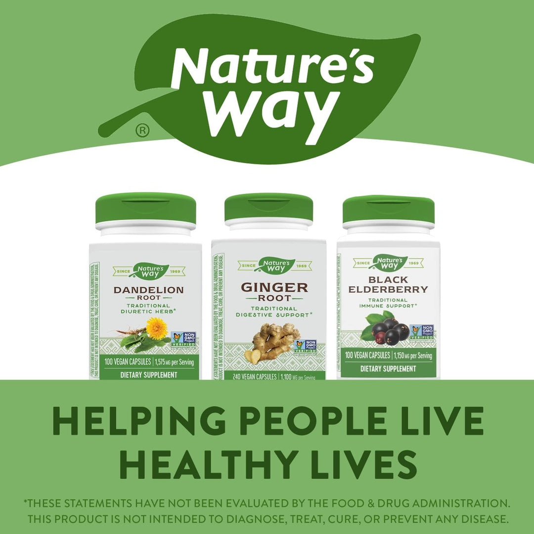 Nature's Way Ginger Root, Traditional Digestive Support*, 1110 mg Per Serving, Non - GMO Project Verified, 240 Capsules - The Oasis of Health