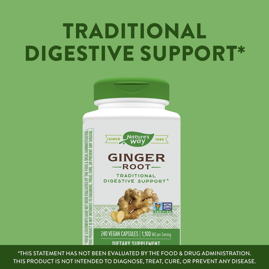 Nature's Way Ginger Root, Traditional Digestive Support*, 1110 mg Per Serving, Non - GMO Project Verified, 240 Capsules - The Oasis of Health