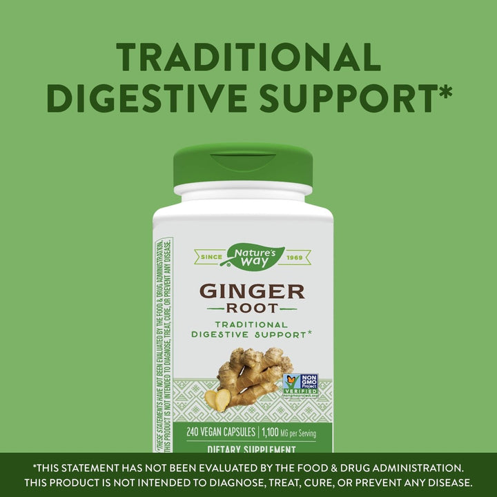 Nature's Way Ginger Root, Traditional Digestive Support*, 1110 mg Per Serving, Non - GMO Project Verified, 240 Capsules - The Oasis of Health