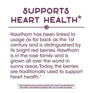 Nature's Way Hawthorn Capsules - 300mg Extract, 90 Vcaps - The Oasis of Health
