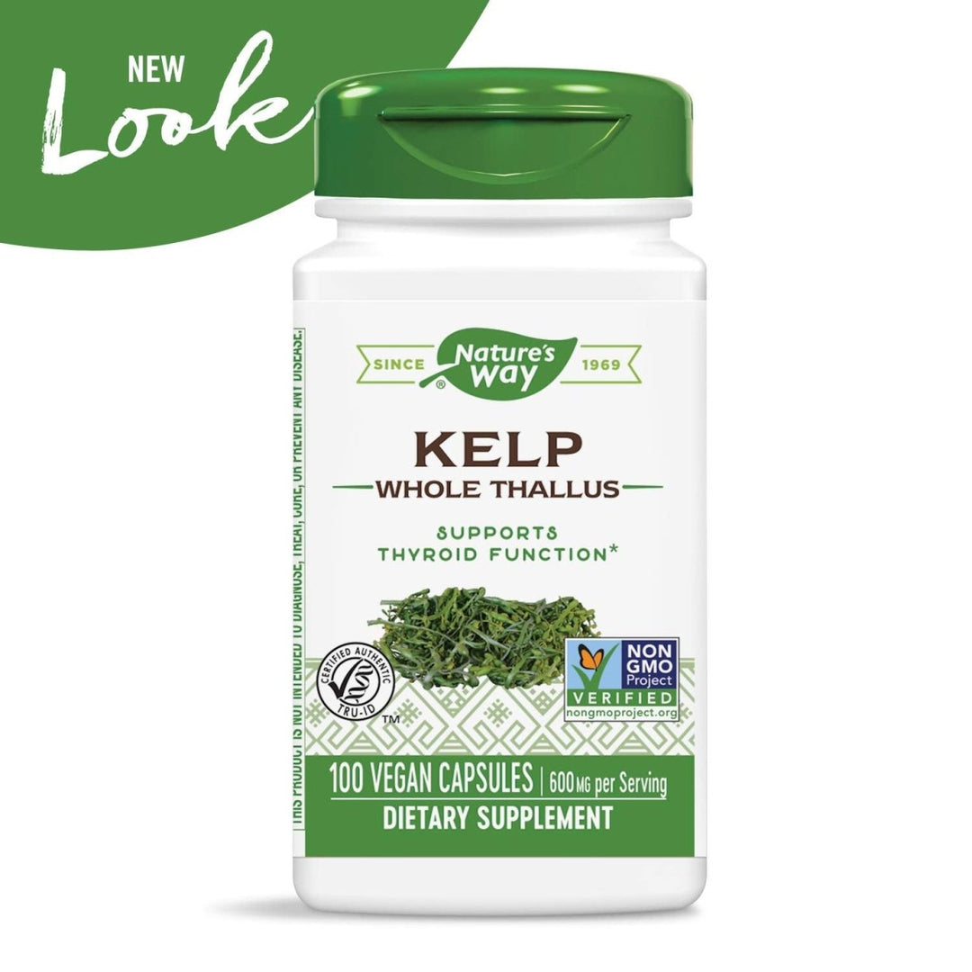 Nature's Way Kelp; 600 mg Non - GMO Project Verified Gluten Free Vegetarian; 100 Count - The Oasis of Health