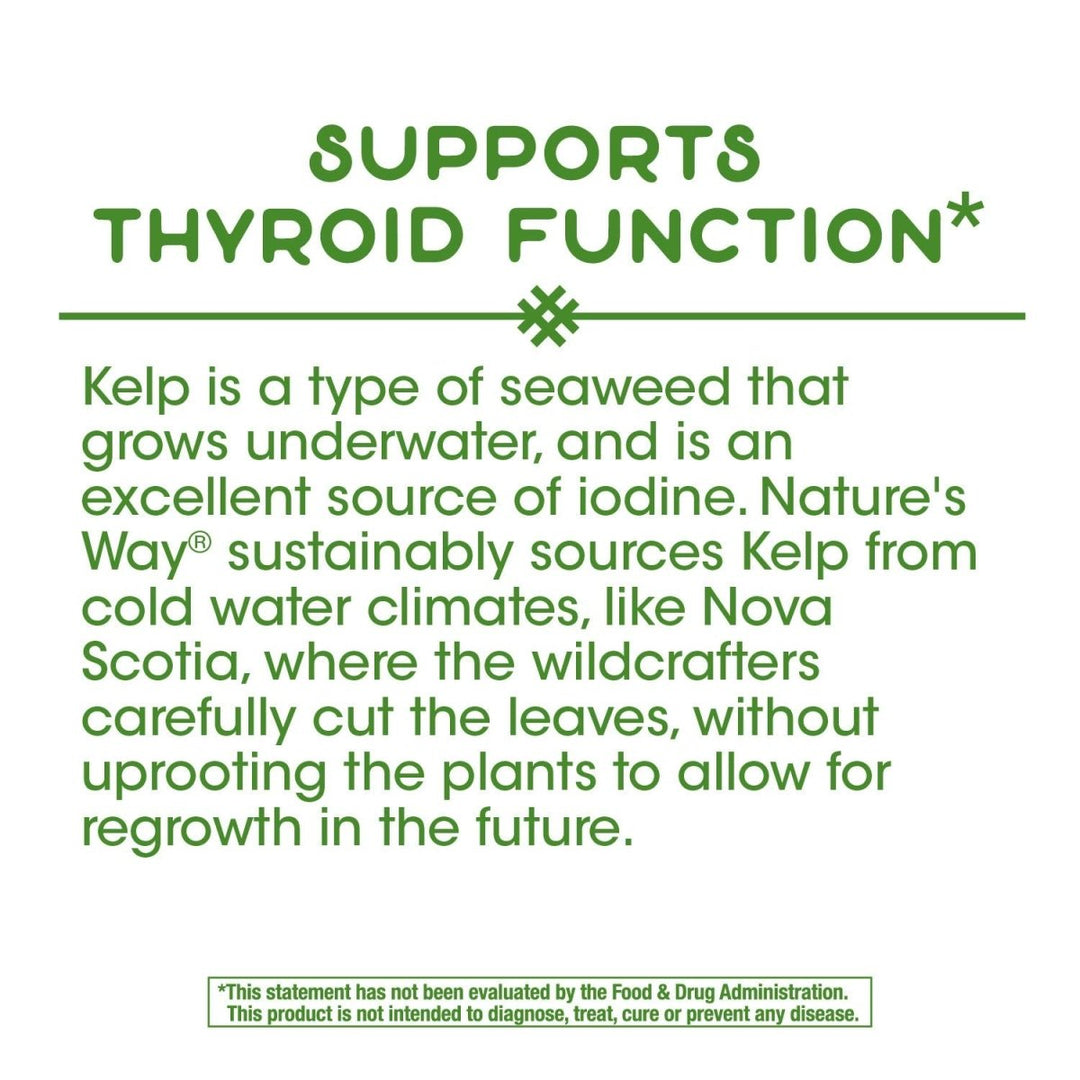 Nature's Way Kelp; 600 mg Non - GMO Project Verified Gluten Free Vegetarian; 100 Count - The Oasis of Health