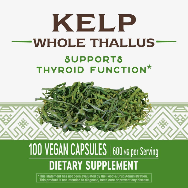 Nature's Way Kelp; 600 mg Non - GMO Project Verified Gluten Free Vegetarian; 100 Count - The Oasis of Health