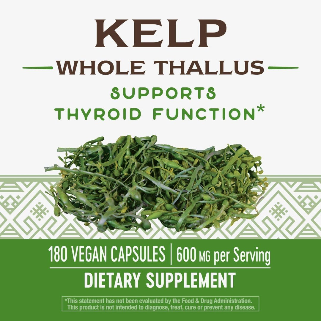 Nature's Way Kelp Capsules - 180 Capsules - The Oasis of Health