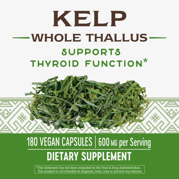 Nature's Way Kelp Capsules - 180 Capsules - The Oasis of Health