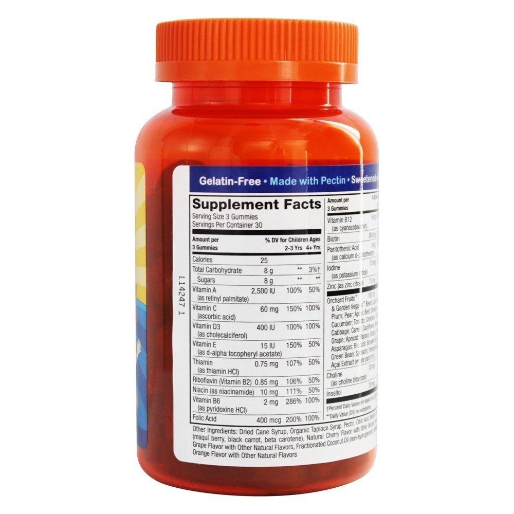 Nature's Way Multivitamin Gummies for Kids 90 ea - The Oasis of Health