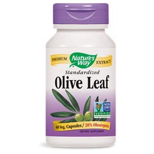 Nature'S Way Olive Leaf 20% Extract 60 Vcap - The Oasis of Health