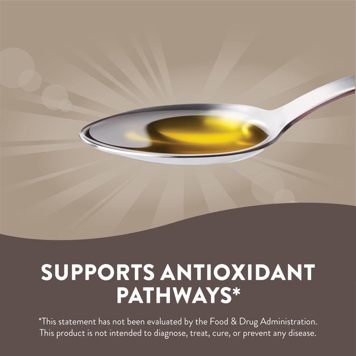 Nature's Way Organic Black Seed Oil - Premium Cold - Pressed Oil with Natural Benefits - 8oz - The Oasis of Health