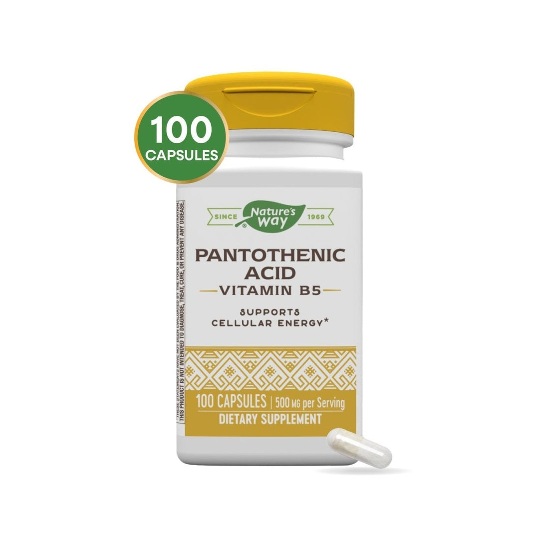 Nature's Way Pantothenic Acid Vitamin B5 100 Capsules - 2 Pack - The Oasis of Health