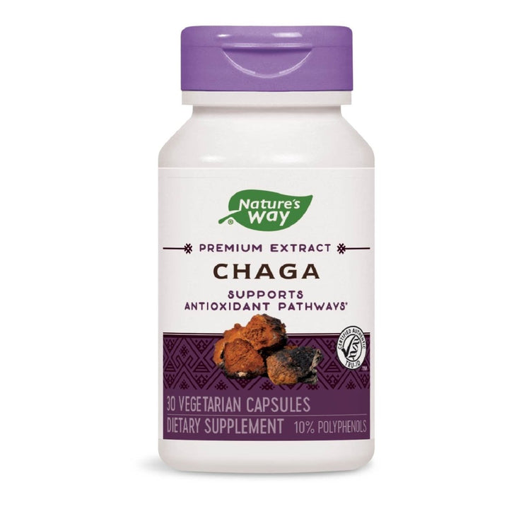 Nature's Way Premium Extract Chaga, Supports Antioxidant Pathways*, 480 mg per serving, 30 Vcaps - The Oasis of Health