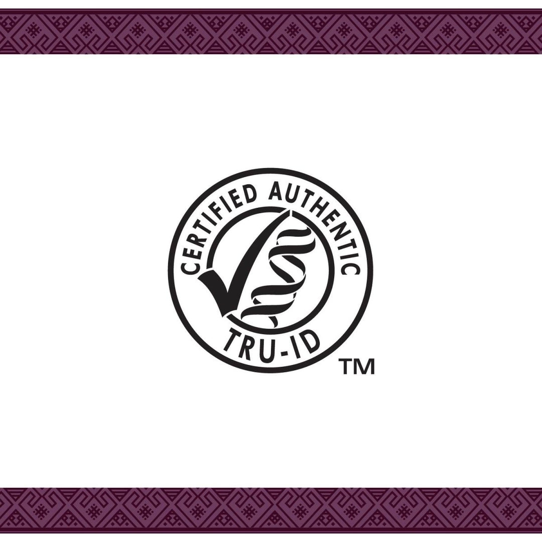 Nature's Way Premium Extract Chaga, Supports Antioxidant Pathways*, 480 mg per serving, 30 Vcaps - The Oasis of Health