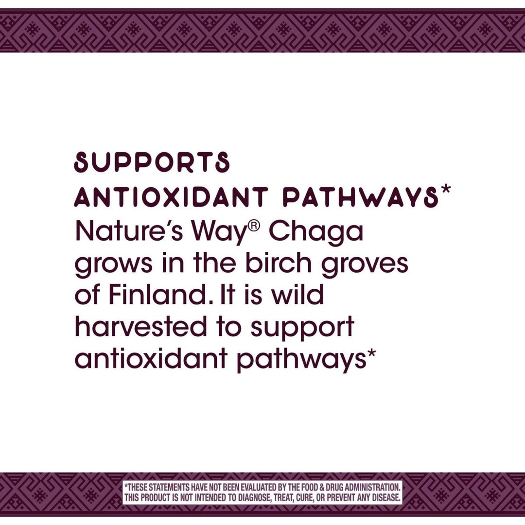 Nature's Way Premium Extract Chaga, Supports Antioxidant Pathways*, 480 mg per serving, 30 Vcaps - The Oasis of Health
