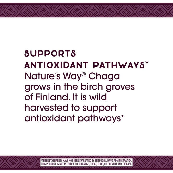 Nature's Way Premium Extract Chaga, Supports Antioxidant Pathways*, 480 mg per serving, 30 Vcaps - The Oasis of Health
