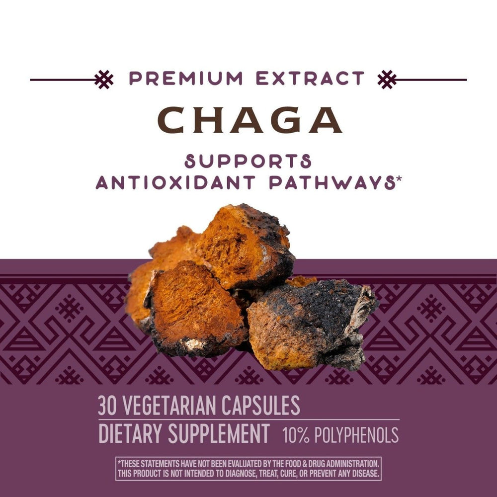 Nature's Way Premium Extract Chaga, Supports Antioxidant Pathways*, 480 mg per serving, 30 Vcaps - The Oasis of Health