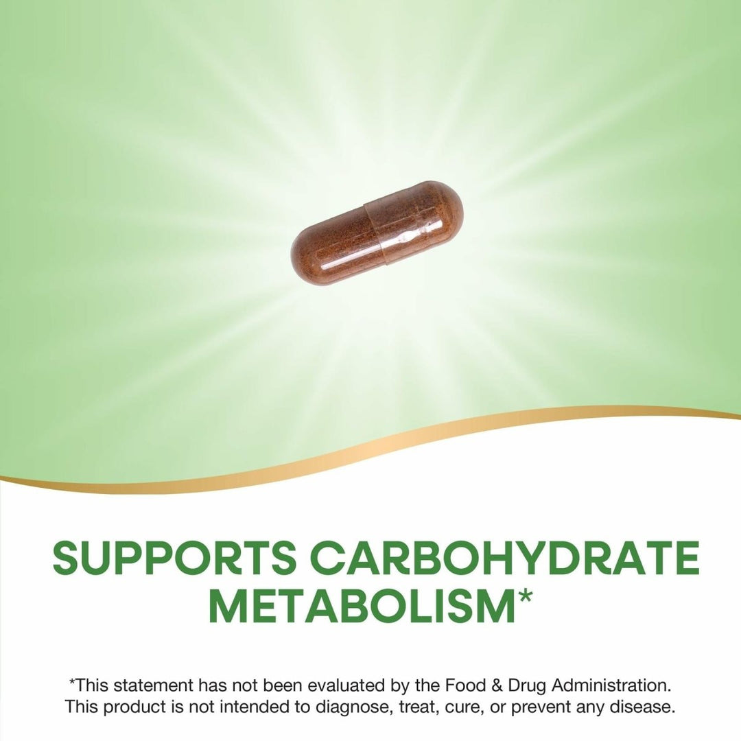 Nature's Way Premium Extract Cinnamon Standardized to 8% Flavonoids 60 Vcaps (Pack of 2) - The Oasis of Health