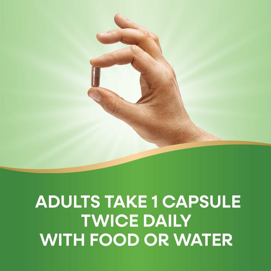 Nature's Way Premium Extract Cinnamon Standardized to 8% Flavonoids 60 Vcaps (Pack of 2) - The Oasis of Health