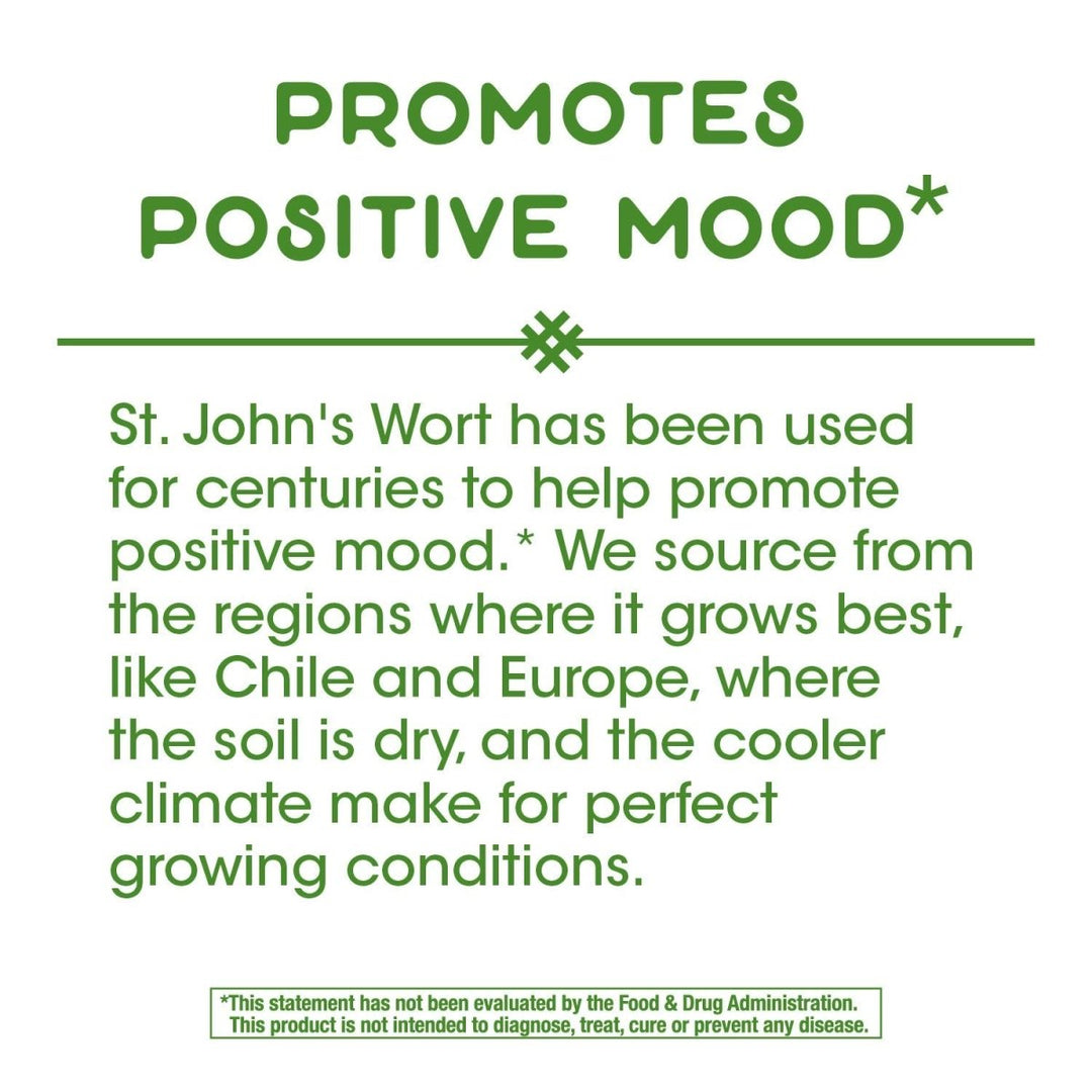 Nature's Way Premium St. John?s Wort Herb, Promotes Positive Outlook*, 700 mg per serving, 100 Vegan Capsules - The Oasis of Health