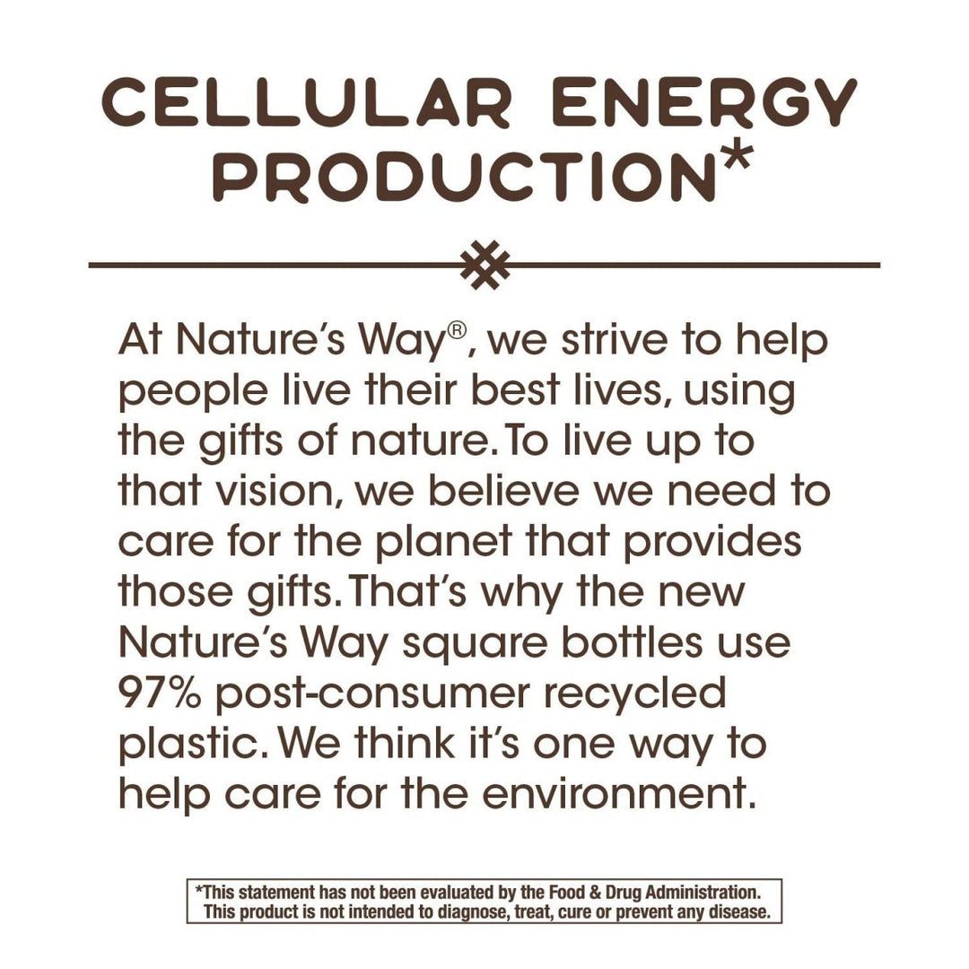 Nature's Way Riboflavin Vitamin B2 Supports Cellular Energy* 30 Tablets - The Oasis of Health