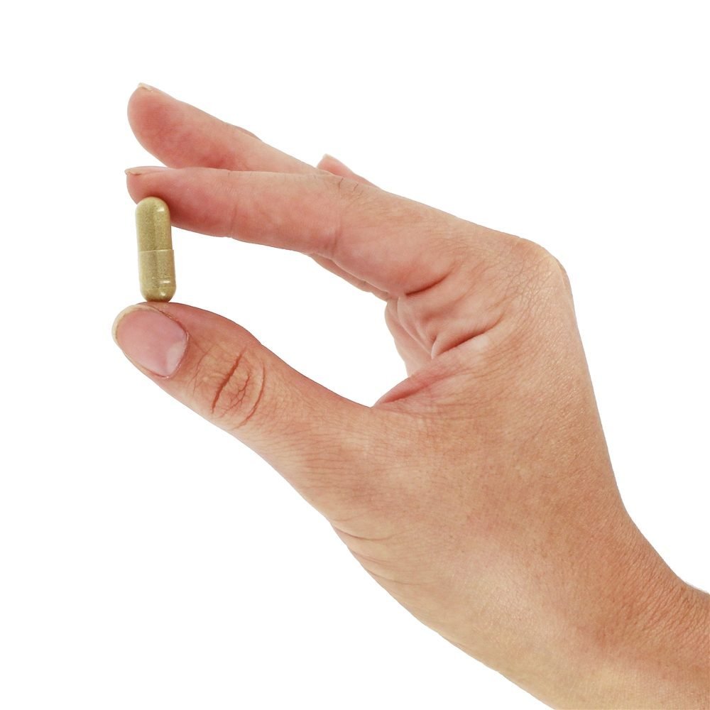 Nature's way Rosemary Leaves - 100 Capsules, 100 Count - The Oasis of Health