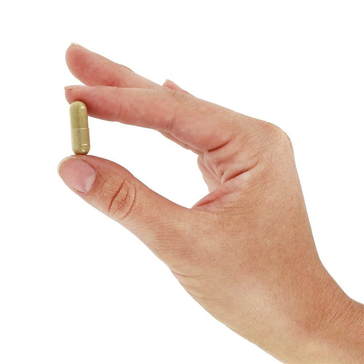 Nature's way Rosemary Leaves - 100 Capsules, 100 Count - The Oasis of Health